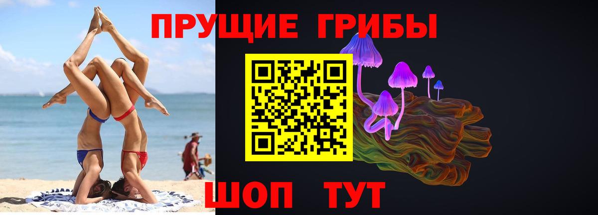 Галлюциногенные грибы прущие грибы Белореченск